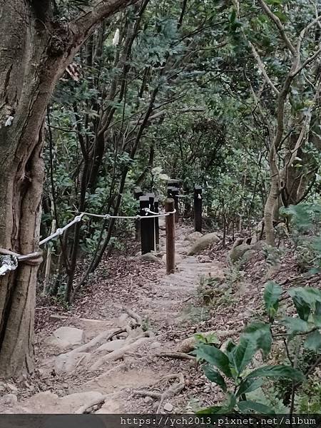 新北泰山景點／辭修公園與尖凍山步道