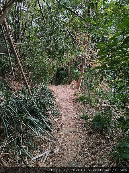 新北泰山景點／辭修公園與尖凍山步道