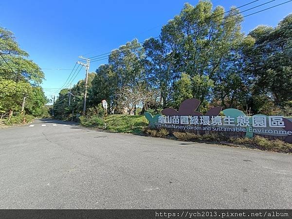 桃園龜山祕境景點／龜山苗圃綠環境生態園區／季節限定，年底清幽