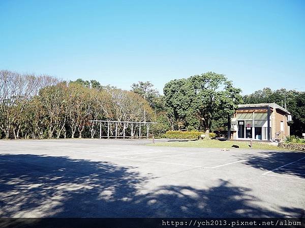 桃園龜山祕境景點／龜山苗圃綠環境生態園區／季節限定，年底清幽