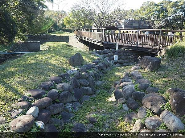 桃園龜山祕境景點／龜山苗圃綠環境生態園區／季節限定，年底清幽