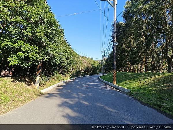 桃園龜山祕境景點／龜山苗圃綠環境生態園區／季節限定，年底清幽