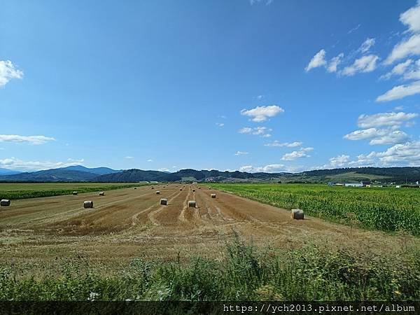 布朗城堡／誤傳的吸血鬼城堡(羅馬尼亞旅遊)