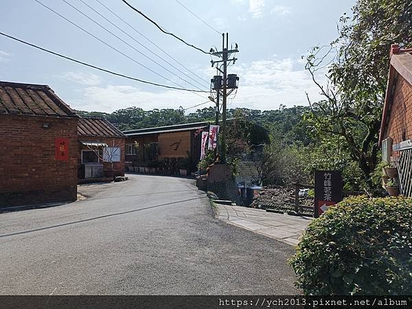 初八竹峰茶園賞景