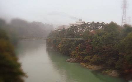 akebi紅葉.jpg