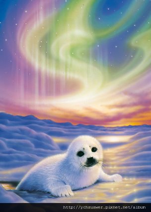 39041_Seal_Cub-jigsaw-puzzle-w.jpg