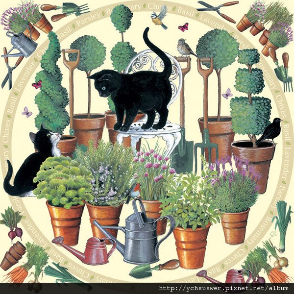 O55841_Kitchen_Garden-jigsaw-puzzles-w.jpg