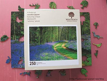 250 - Bluebell Wood10.JPG