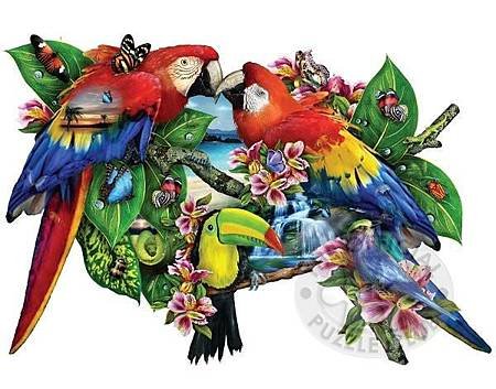 SO95278_parrotsinparadise-jigsaw-puzzle-w.jpg