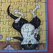 500 - Crazy Cat at Home26.jpg
