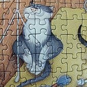 500 - Crazy Cat at Home27.jpg