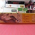 500 - Crazy Cat at Home02.jpg