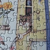 500 - Crazy Cat at Home30.jpg