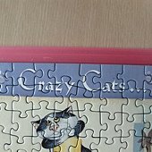 500 - Crazy Cat at Home21.jpg