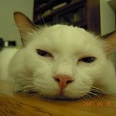 DSCN1196.JPG