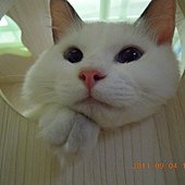 DSCN1135.JPG