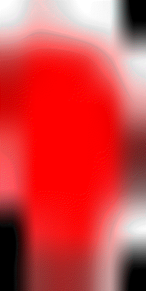11~足少陽(膽經)子.gif