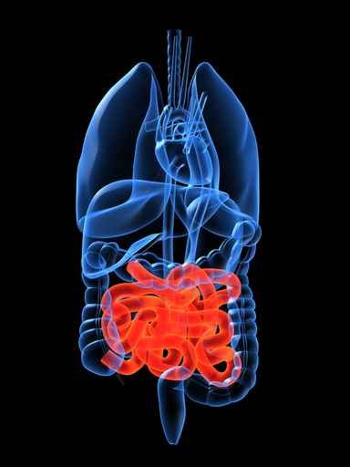 fotolia_3527487.jpg