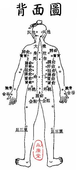 《灸法秘傳》-02-背面圖.JPG