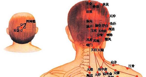 02-　頭後項頸歌：