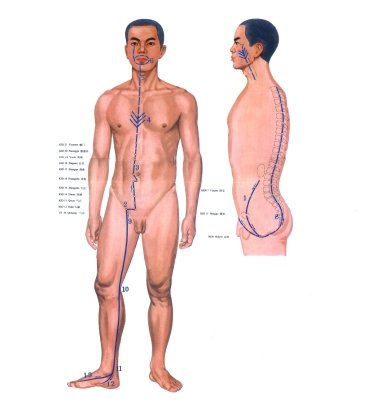 D05-衝脈﹝Chong_Meridian﹞chongmai