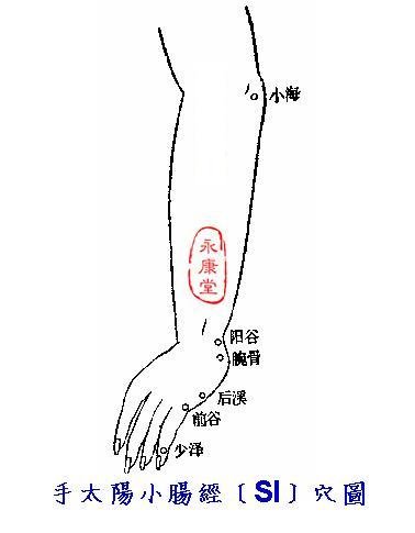 說難06-手太陽小腸經﹝SI﹞六穴圖：