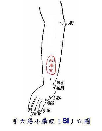 說難06-手太陽小腸經﹝SI﹞六穴圖：