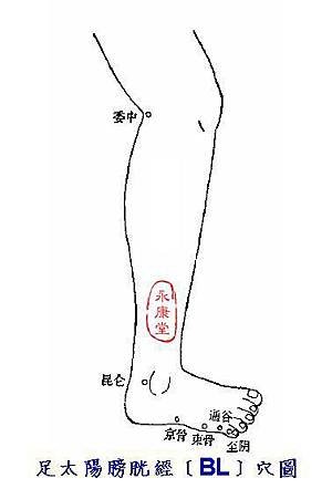 說難07-足太陽膀胱經﹝BL﹞穴圖