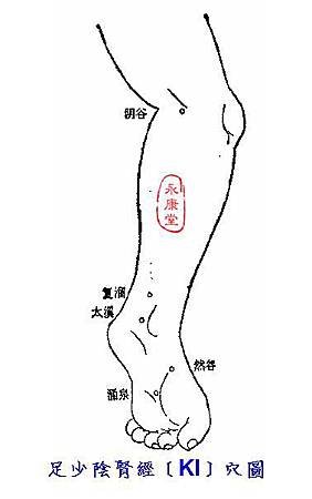 說難08-足少陰腎經﹝KI﹞穴圖