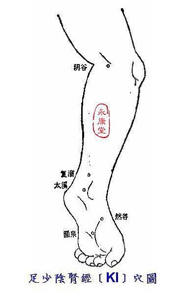 說難08-足少陰腎經﹝KI﹞穴圖