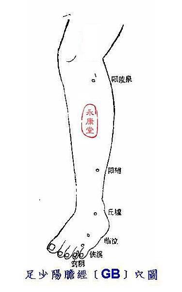 說難11-足少陽膽經﹝GB﹞穴圖