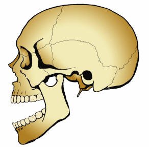 落下頦﹝mandibular_dislocation﹞：Mandibular Dislocation