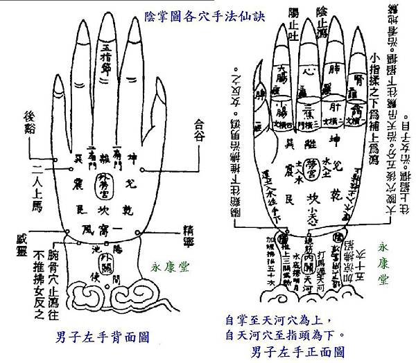 1003.-陰掌圖各穴手法仙訣