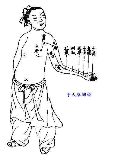 01_手太陰肺經【《厘正按摩要術》(清‧張振鑒)】.JPG