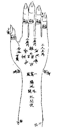 18_陰掌圖【《厘正按摩要術》(清‧張振鑒)】.JPG