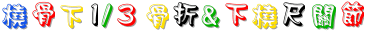 20_6_中醫外治~上肢骨~橈骨下1／3骨折合併下橈尺關節脫位.gif