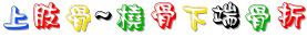 20_7_中醫外治~上肢骨~橈骨下端骨折.gif