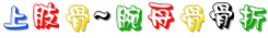 20_8_中醫外治~上肢骨~腕舟骨骨折.gif