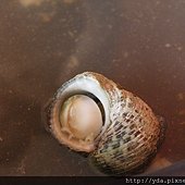 _MG_4610.JPG
