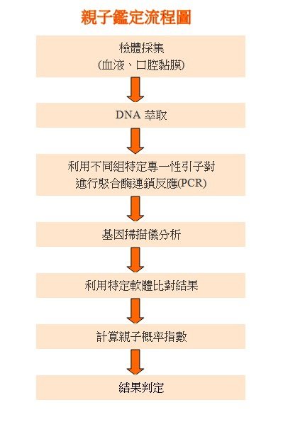 親子鑑定流程