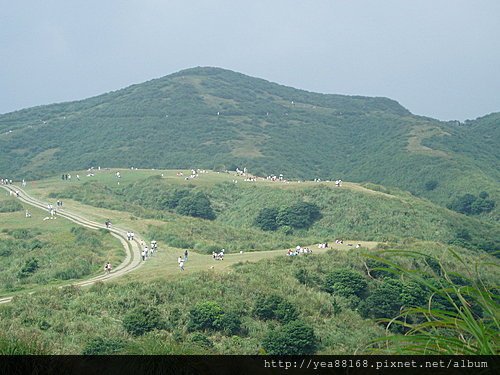 冷水坑-擎天崗步道 06