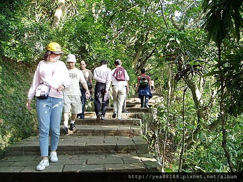 虎山自然步道05.jpg