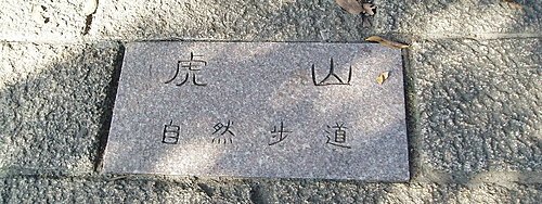 虎山自然步道04.jpg