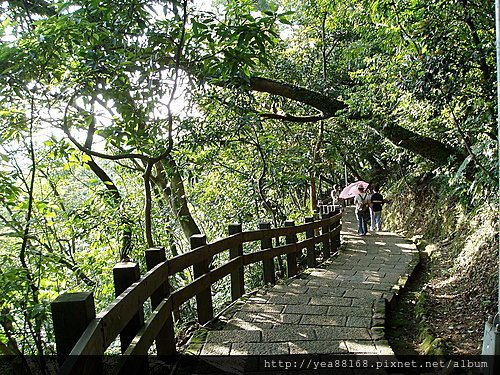 虎山自然步道07.jpg