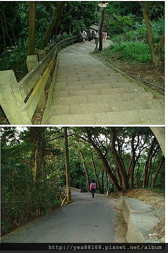 虎山自然步道15.jpg