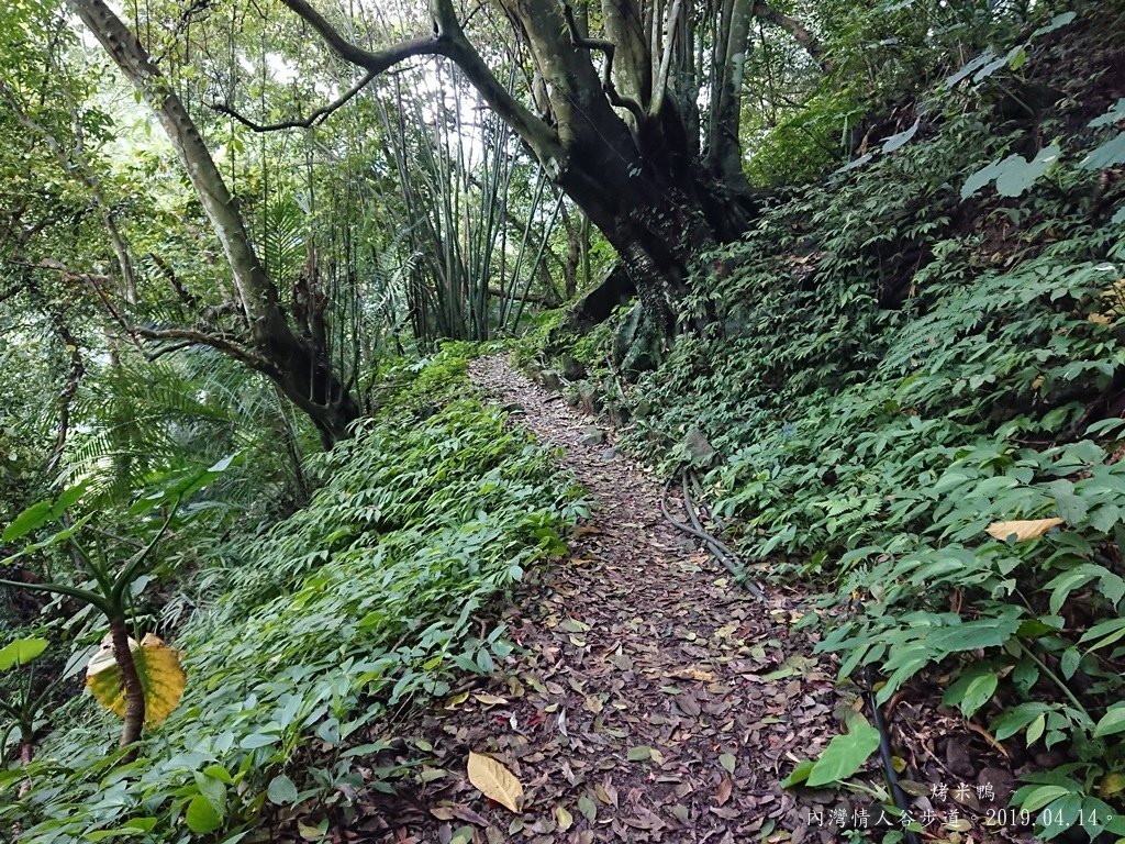 情人谷步道15.JPG