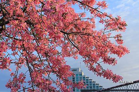 IMG_5435-1-1