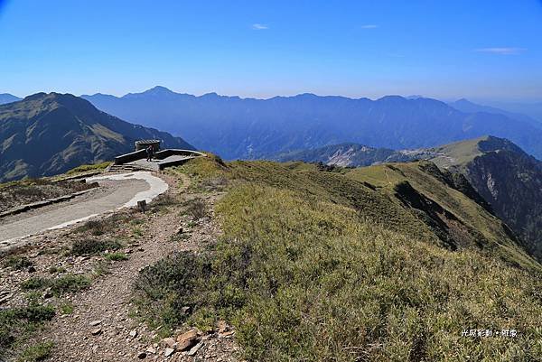合歡山主峰賞高山杜鵑