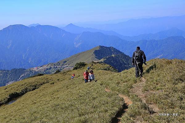 合歡山主峰賞高山杜鵑