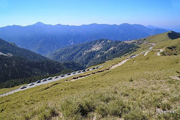 合歡山主峰賞高山杜鵑